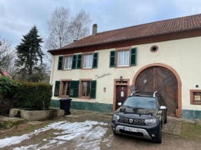 Ferme Vosgienne Chaleureuse et Calme, Plaine